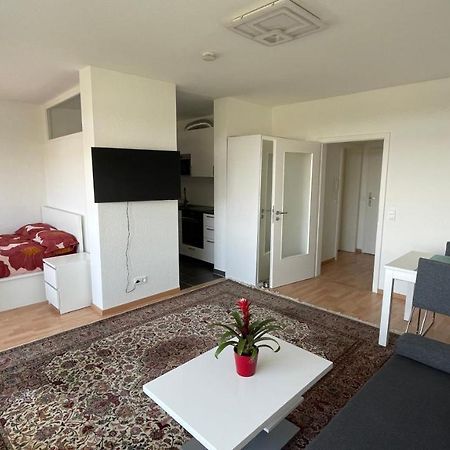 1,5 Zimmerwohnung In היידלברג מראה חיצוני תמונה