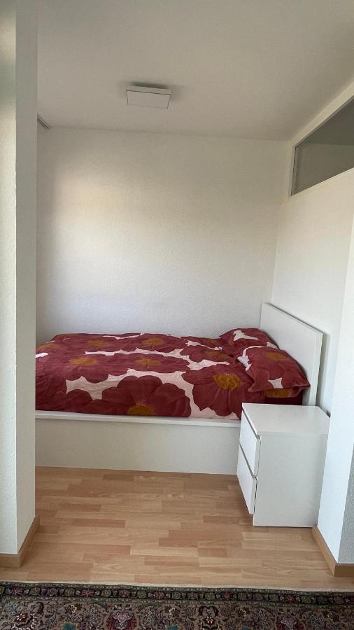 1,5 Zimmerwohnung In היידלברג מראה חיצוני תמונה
